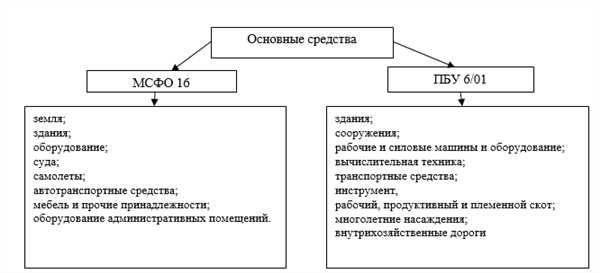 Отчетность