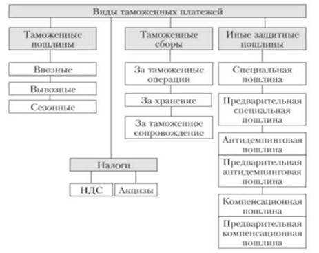 Виды